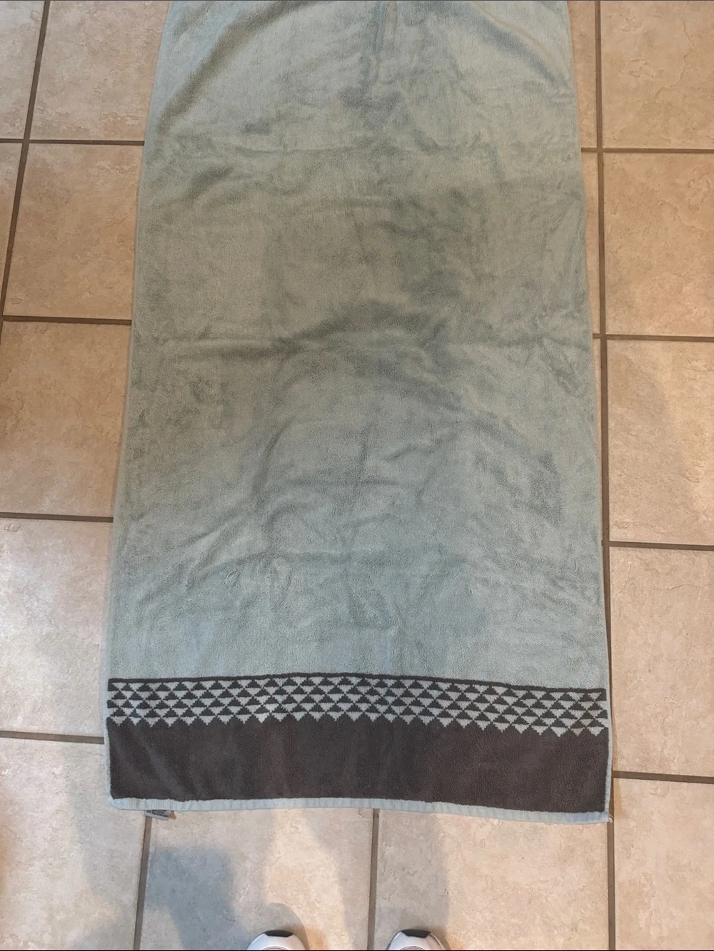Apt. 9 Light Teal Or Green and Brown Cotton Bath Towels with Geometric Border 5